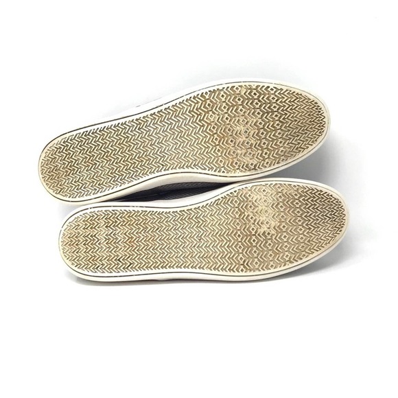 Steve Madden | Fauster Canvas Lace Up Sneaker Gray - Picture 8 of 8